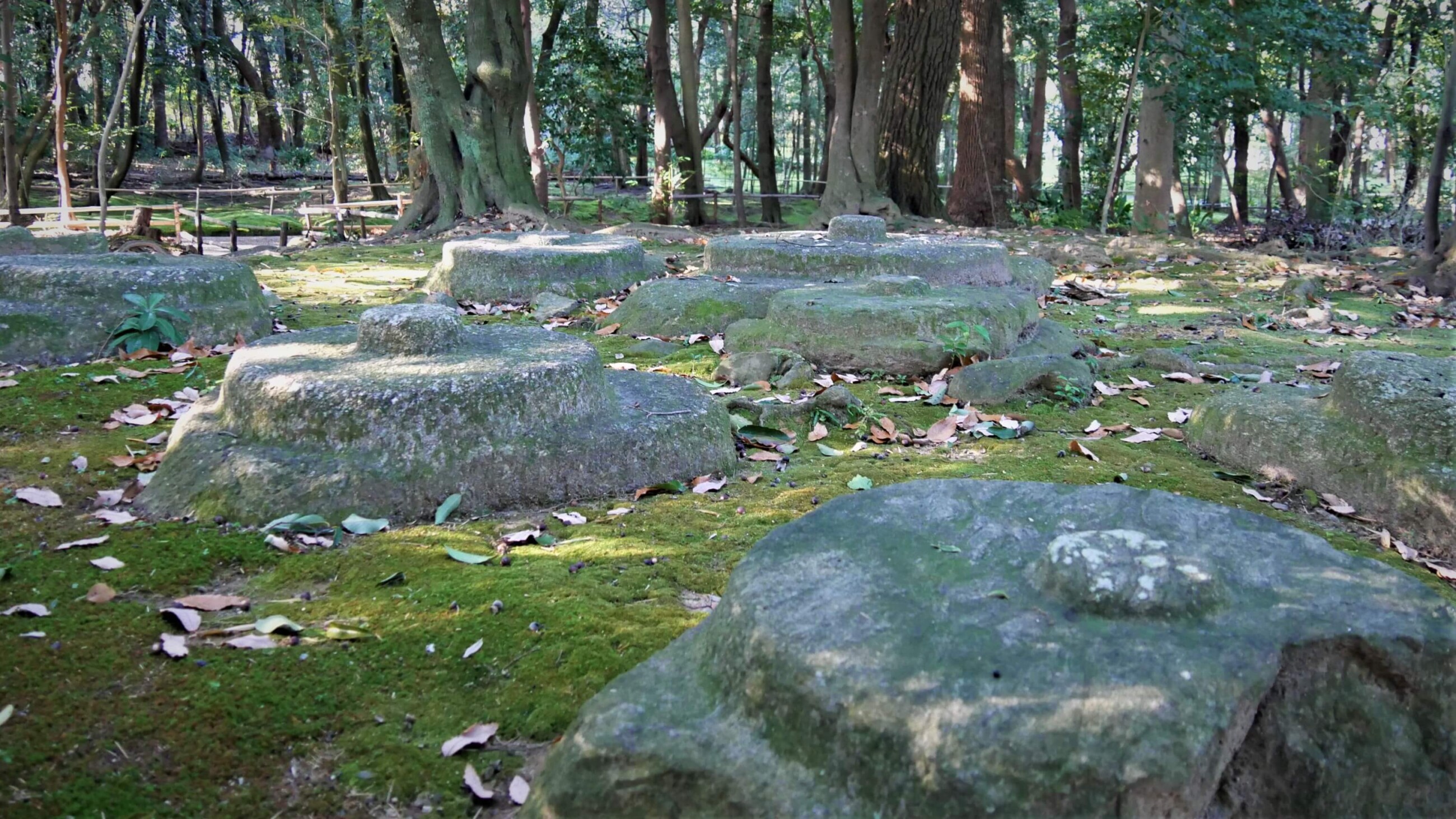 秋篠寺_南門近くの東塔跡礎石