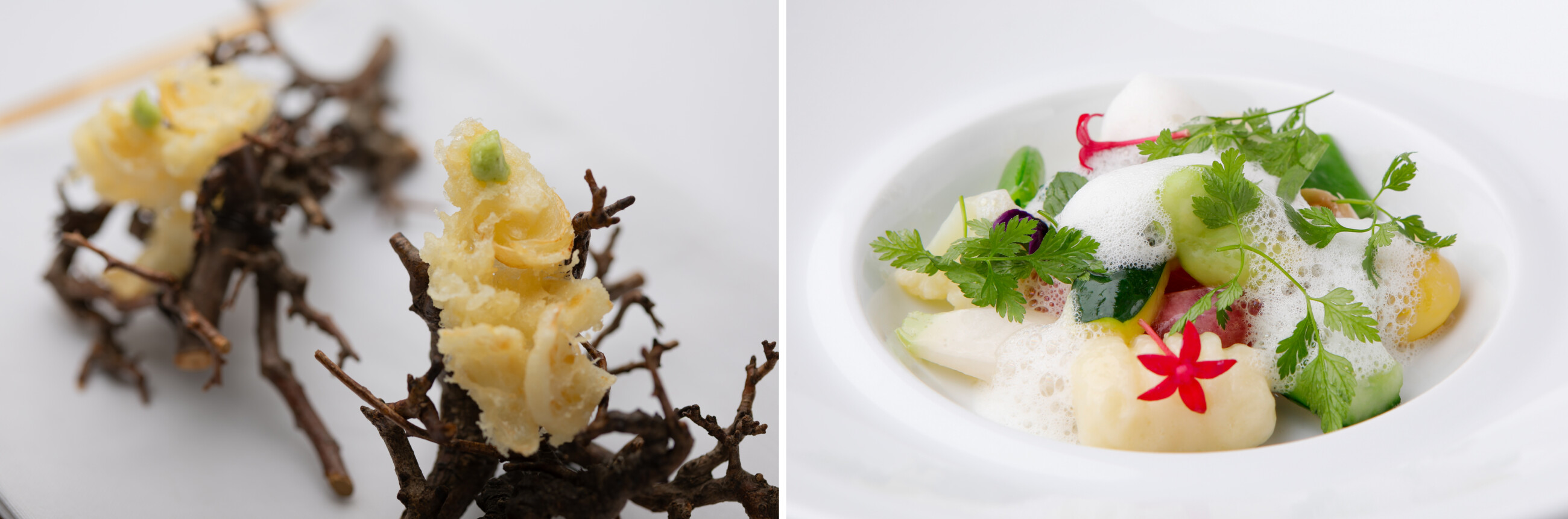 ふきのとうのフリットと季節野菜とジャガイモのニョッキ
