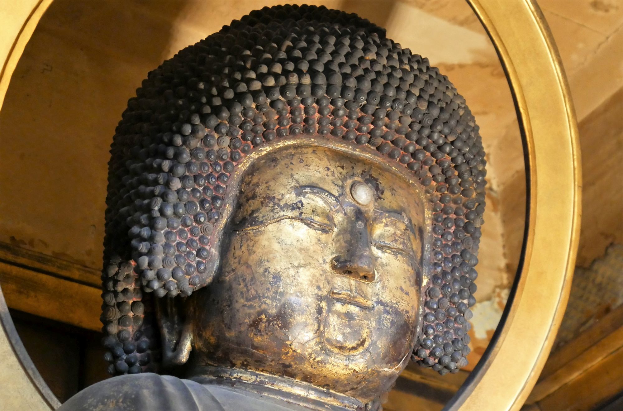 五劫思惟阿弥陀仏坐像_アフロヘアーのような螺髪が印象的