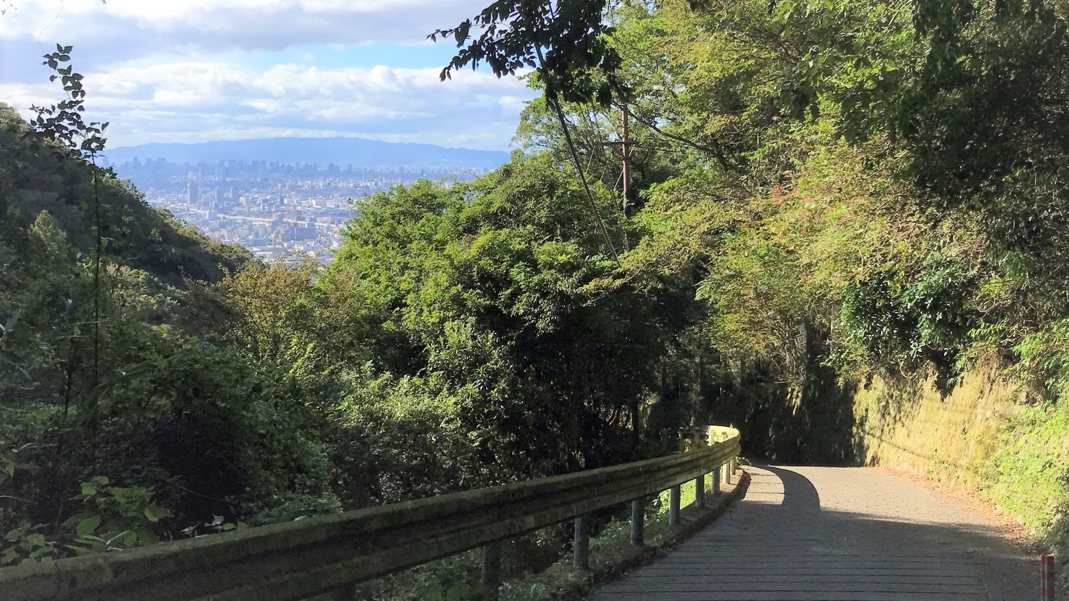 眼下に広がる大阪平野