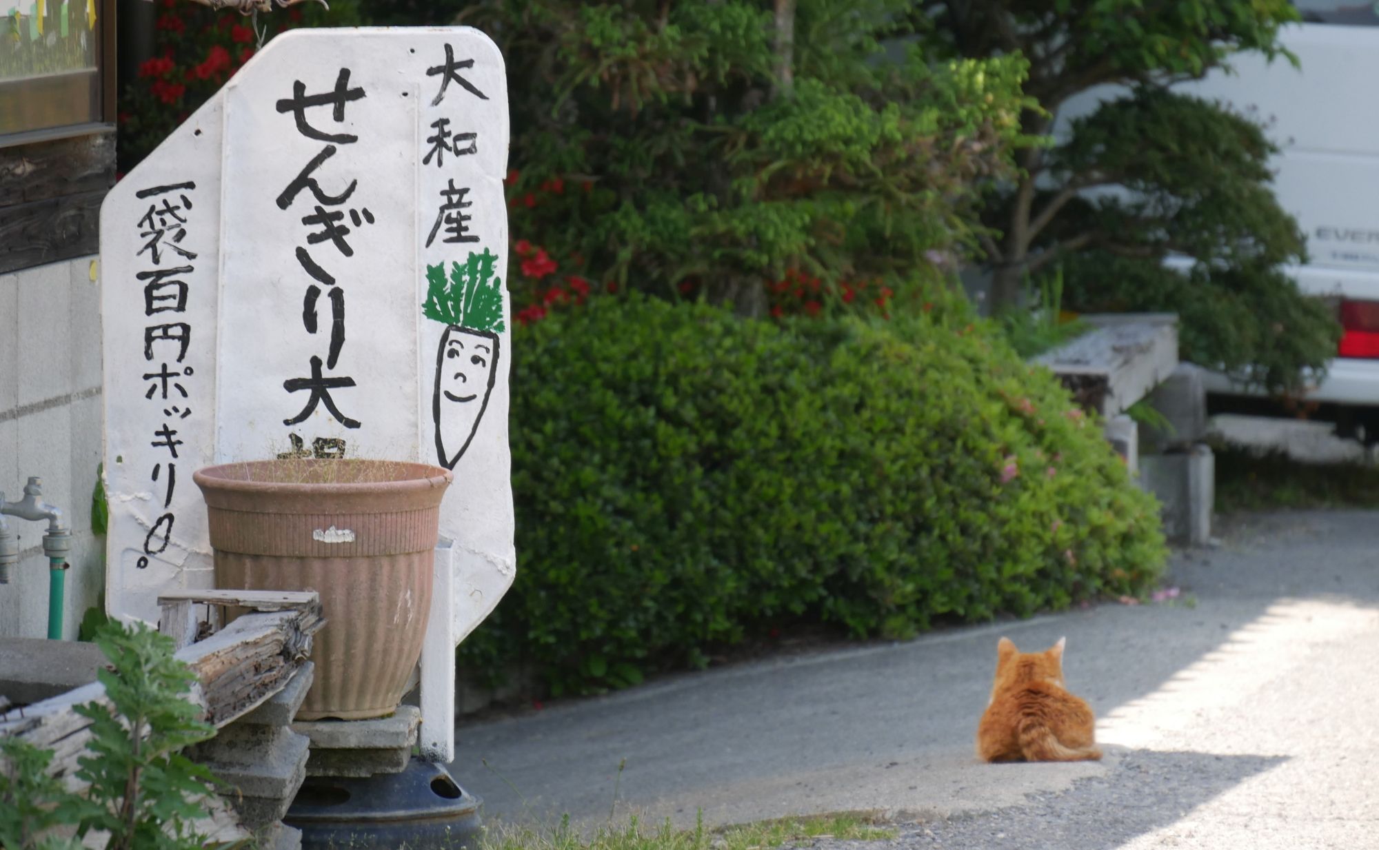 山の辺の道_無人販売所